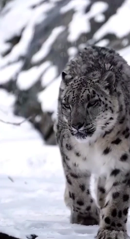 Фото: t.me/udivlau