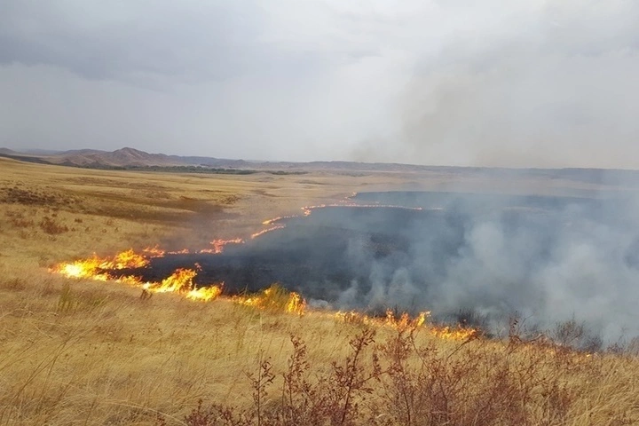 Фото: .открытый источник