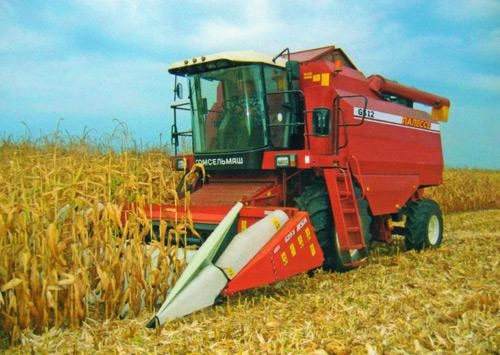 Фото: agrofoodinfo.ru 