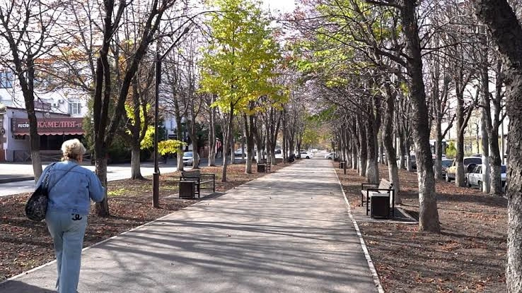 Фото: Открытый источник