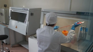 Фото: открытый источник