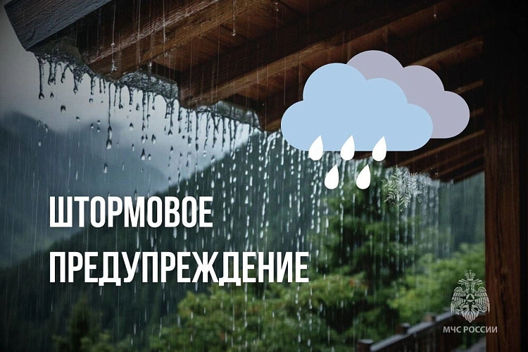 Фото: МЧС России