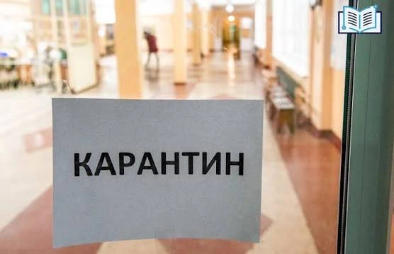 Фото: Открытый источник 