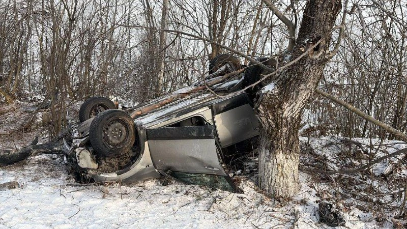 Фото: 15 регион 