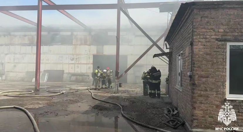 Фото: МЧС России