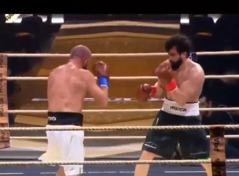 Фото: открытый источник