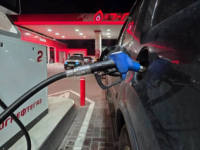 Фото: Мирмол