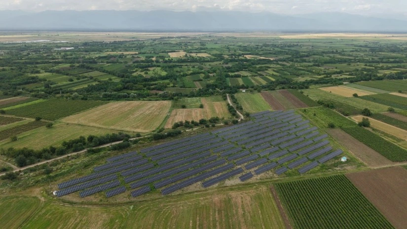 Фото: открытый источник