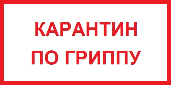 Фото: открытый источник