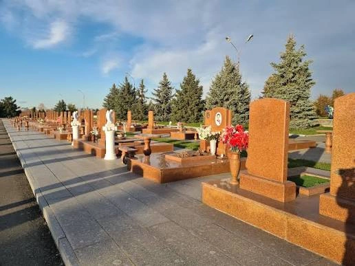 Фото: открытый источник