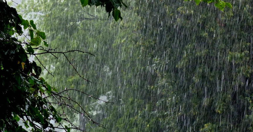 Фото: techinsider.ru