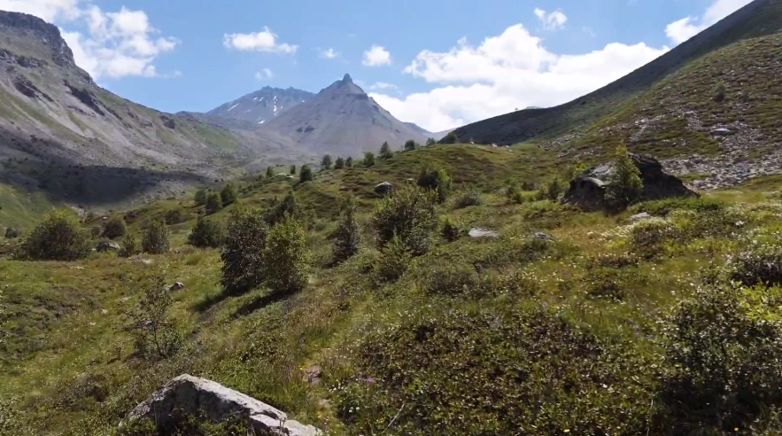 Фото: t.me/ph_xox