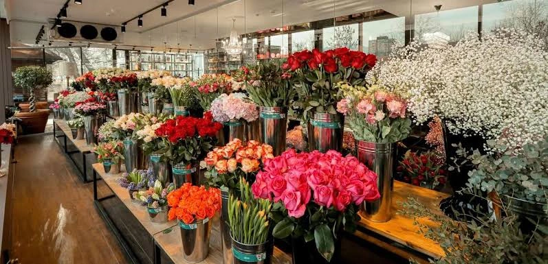 Фото: Меркада