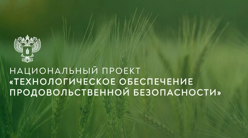 Фото: Открытый источник 