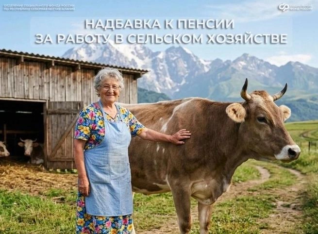 Фото: https://max.ru/id1504029836_gos