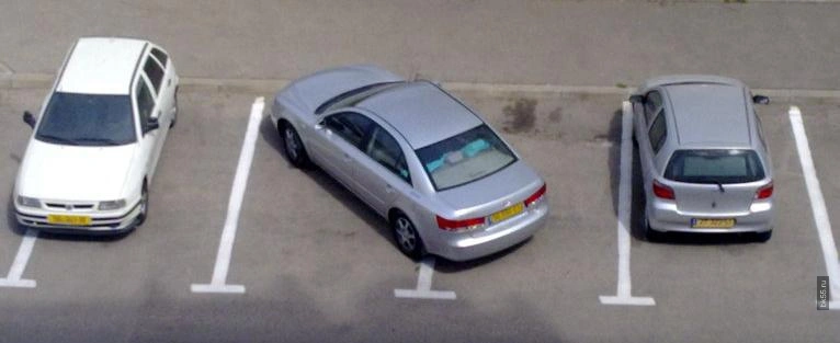 Фото: открытый источник