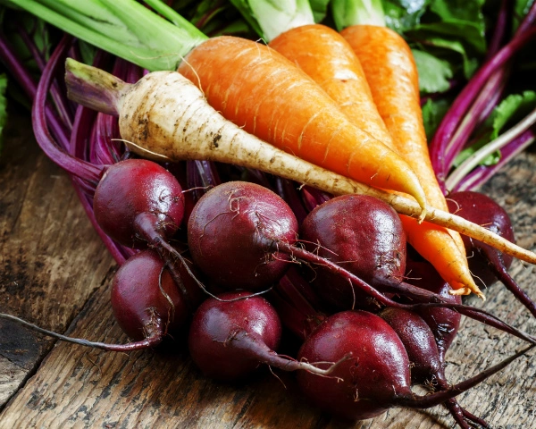 Фото: Агроинвестор