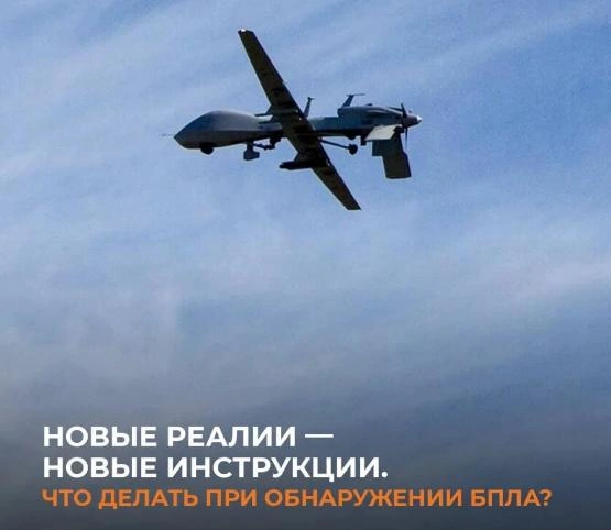 Фото: открытый источник