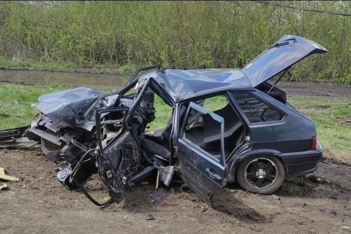 Фото: открытый источник