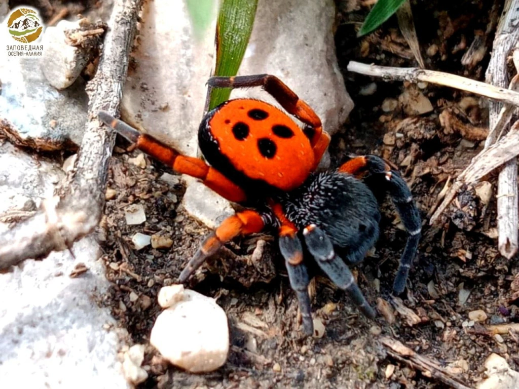 2025-05-13 12.50.19.jpg 2025-05-13 12.50.19.jpg