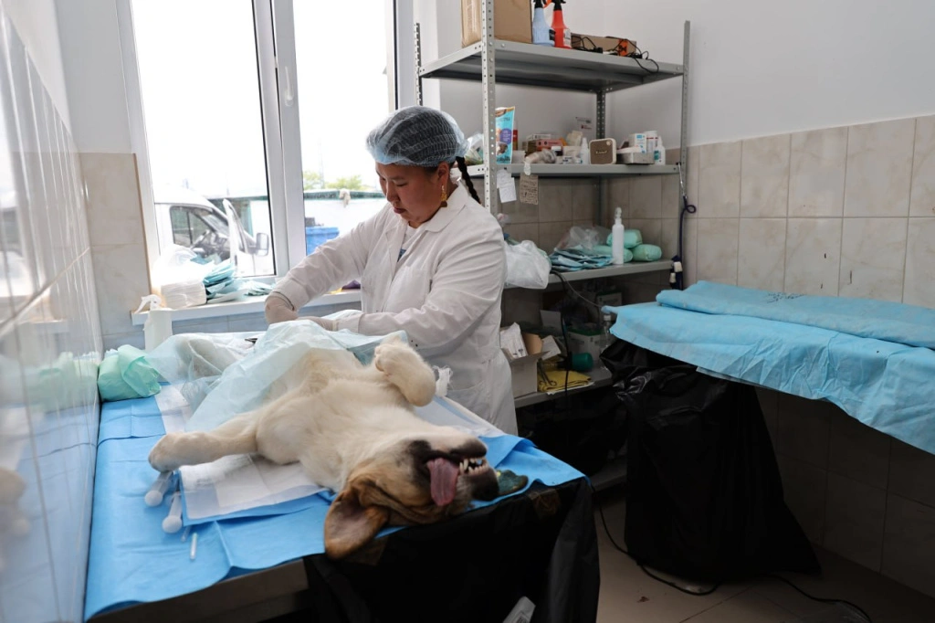 2025-05-30 10.37.34.jpg 2025-05-30 10.37.34.jpg