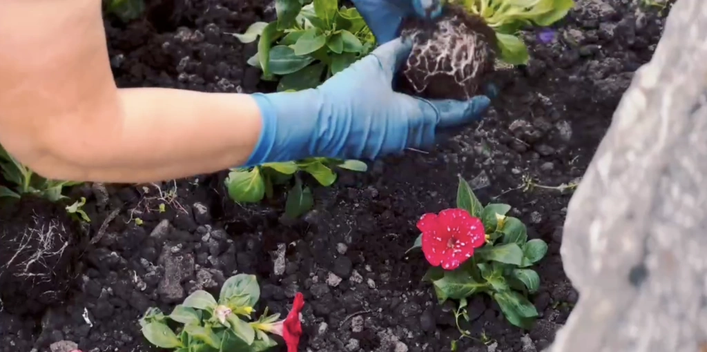 Снимок экрана 2025-05-27 в 21.25.26.png