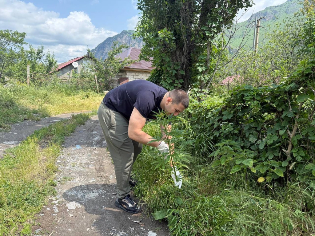 2025-06-06 19.42.57.jpg