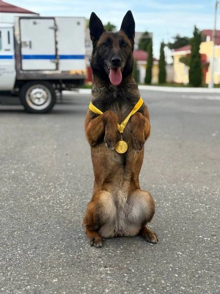 2025-05-27 14.10.00.jpg