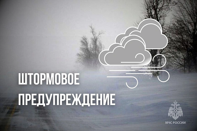 Фото: МЧС России