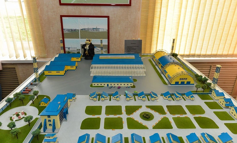 Фото: открытый источник