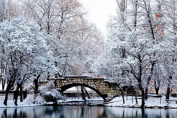 Фото: открытый источник