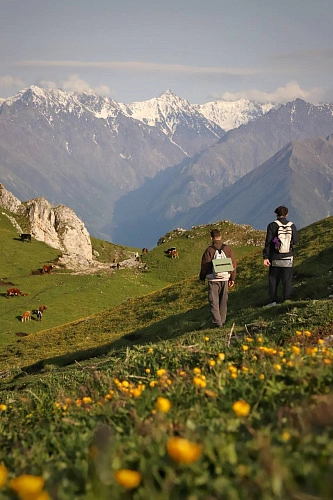 Фото: открытый источник