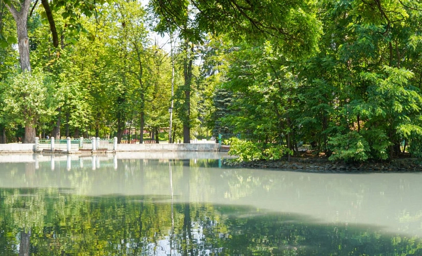 Фото: 15 регион 