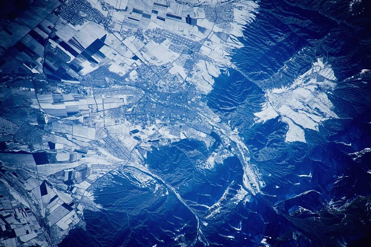 Фото: Антон Шкаплеров