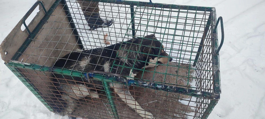 Фото: Пресс-служба АМС Владикавказа