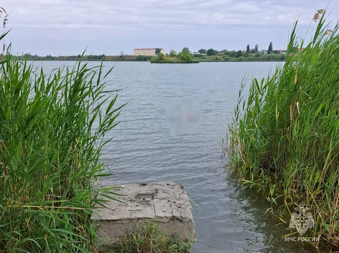 Фото: Открытый источник