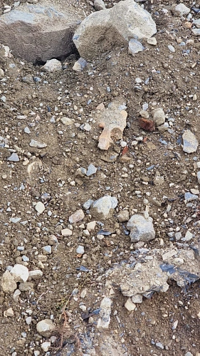 Фото: телеграм-канал «Осетия»