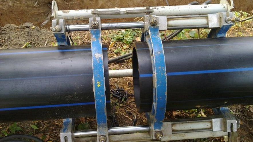 Фото: открытый источник