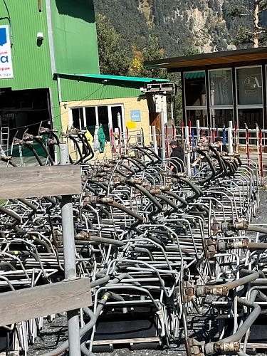 Фото: Людмила Белоус