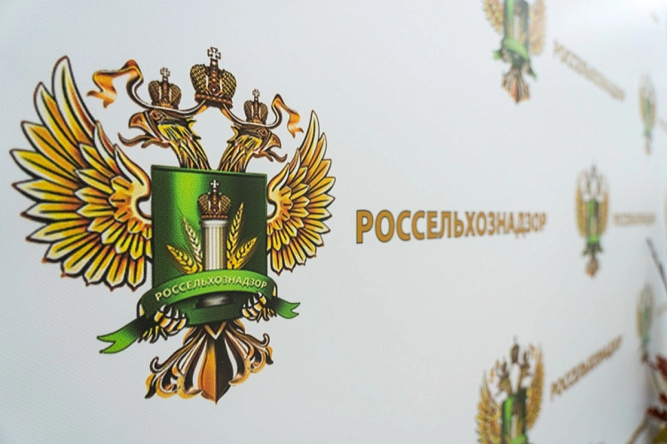 Фото: Ленинский муниципальный округ 