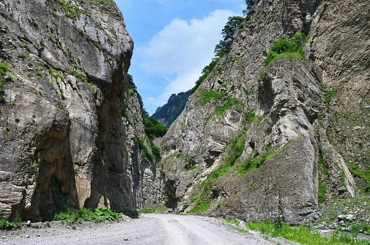 Фото: Экстрагид