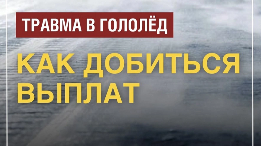 Фото: открытый источник