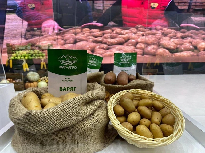 Фото: region15.ru 