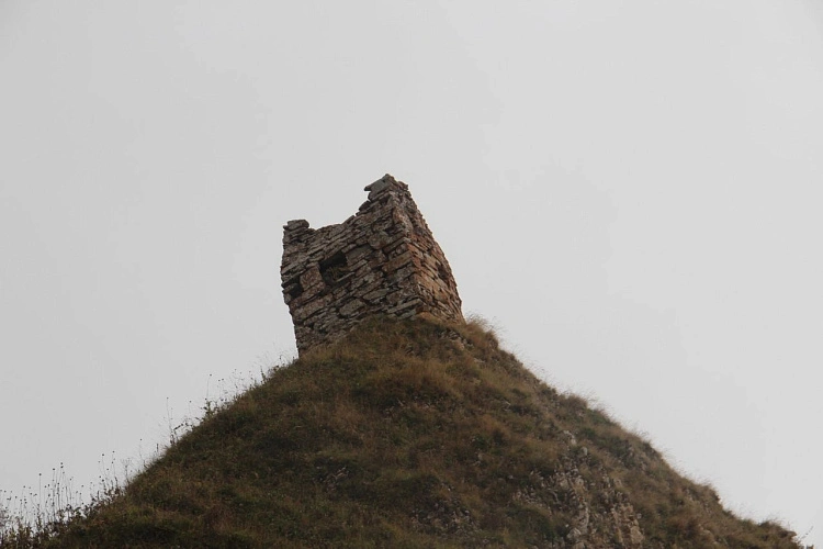 Фото: Фото из сети Интернет