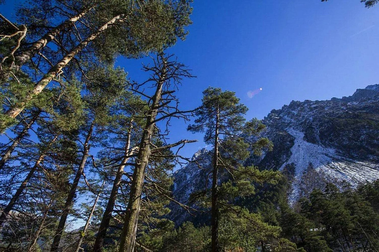 Фото: Открытый источник