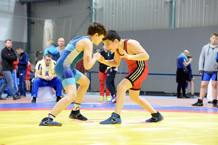 Фото: Открытый источник 