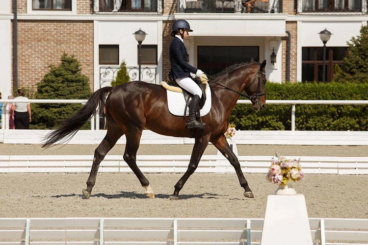 Фото: Ossetia.news