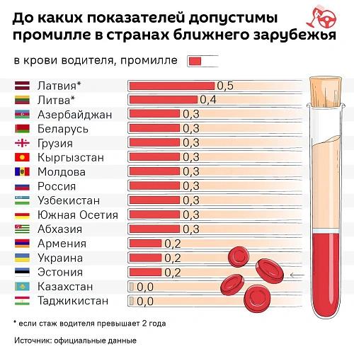 Фото: открытый источник