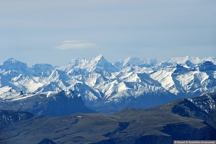 Фото: открытый источник