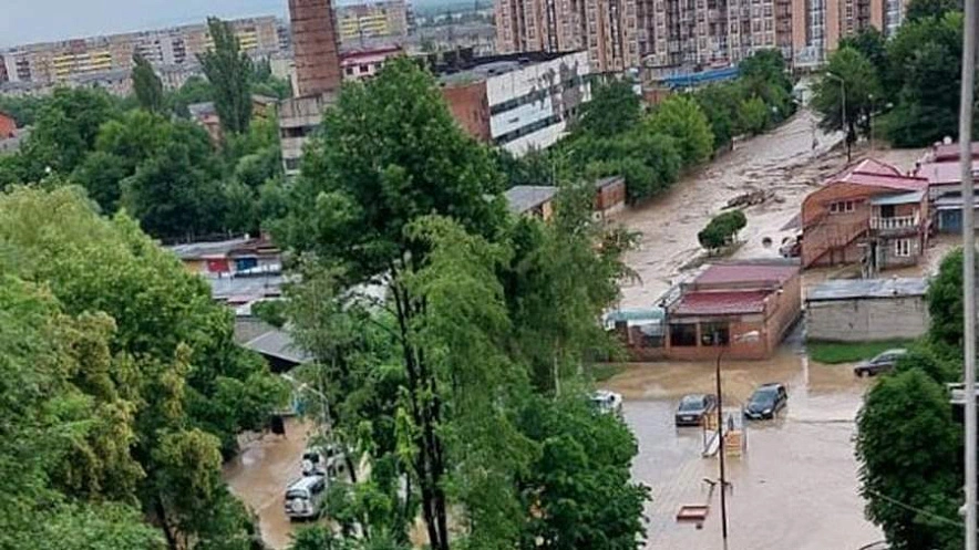 Фото: открытый источник